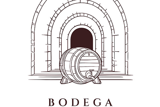 BODEGA REMIGIO SALAS JALÓN - photo 2