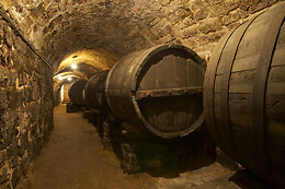 BODEGA REMIGIO SALAS JALÓN
