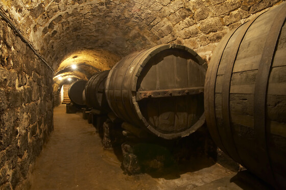 BODEGA REMIGIO SALAS JALÓN - photo 3