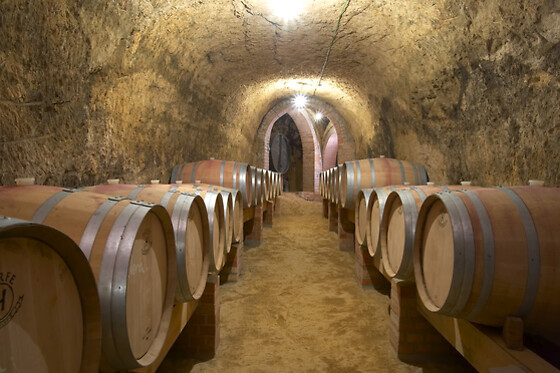 BODEGA REMIGIO SALAS JALÓN - photo 0