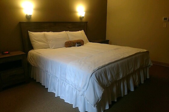 Online Booking EPS - photo 1