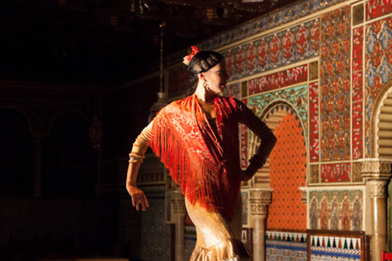 TABLAO FLAMENCO TORRES BERMEJAS - photo 4