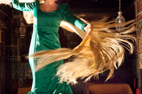 TABLAO FLAMENCO TORRES BERMEJAS - photo 0