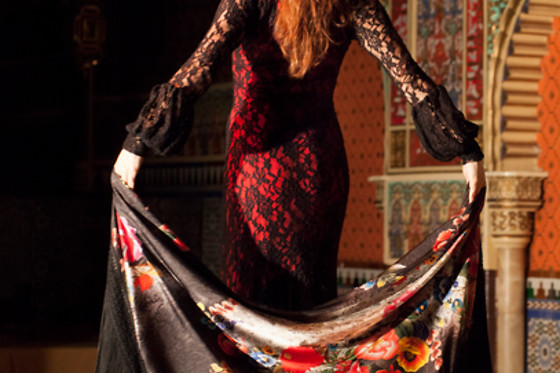TABLAO FLAMENCO TORRES BERMEJAS - photo 6