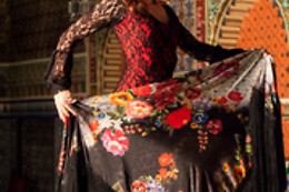 TABLAO FLAMENCO TORRES BERMEJAS