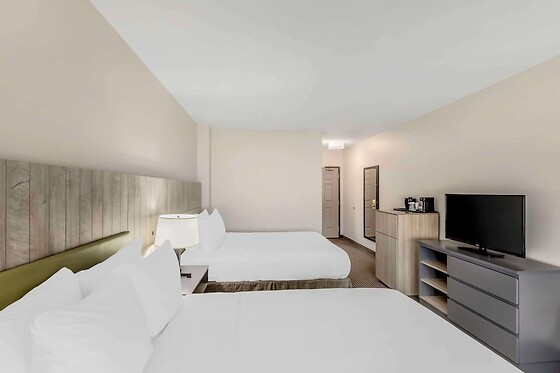 Online Booking EPS - photo 10