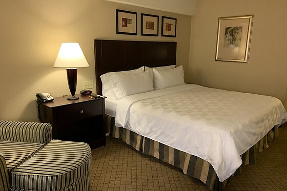 Online Booking EPS - photo 6