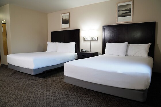 Online Booking EPS - photo 2