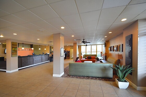 Online Booking EPS - photo 0