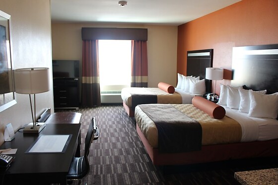 Online Booking EPS - photo 8