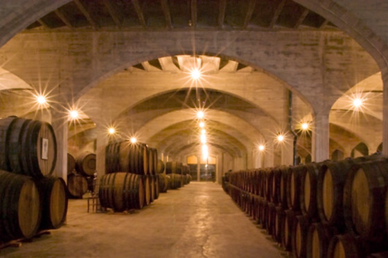 BODEGAS SAN ISIDRO - photo 0