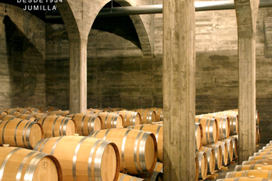 BODEGAS SAN ISIDRO - photo 1