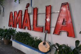 JARDIM AMALIA