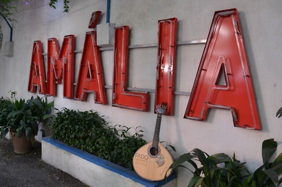 JARDIM AMALIA - photo 1