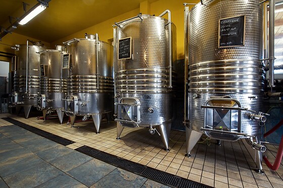 Cantina Le Macchie - photo 1
