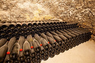 Visita guidata alla cantina con degustazione di vini e salumi locali presso Cantina Le Macchie a Rieti