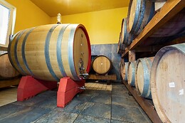 Cantina Le Macchie