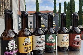 Visita e degustazione di birre guidate da un Mastro Birrario al Birrificio Valdarno Superiore in provincia di Arezzo