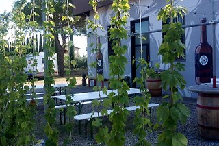 Visita e degustazione di birre guidate da un Mastro Birrario al Birrificio Valdarno Superiore in provincia di Arezzo