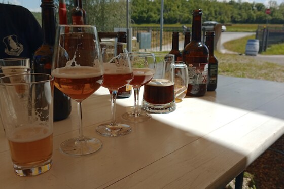 Birrificio Valdarno Superiore - photo 4