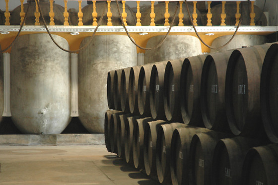 BODEGAS SAUCI - photo 3
