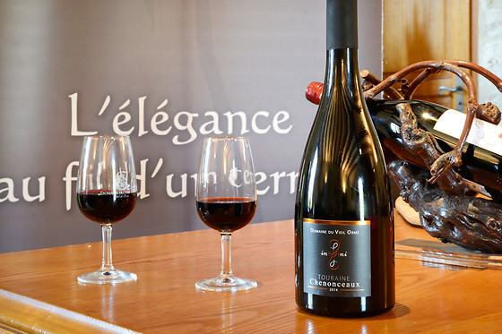 Domaine du Vieil Orme - photo 5
