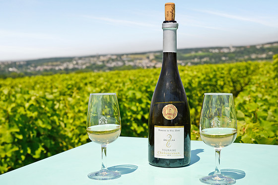 Domaine du Vieil Orme - photo 1
