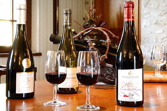 Domaine du Vieil Orme - photo 0