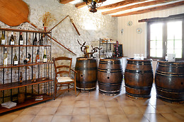 Domaine du Vieil Orme