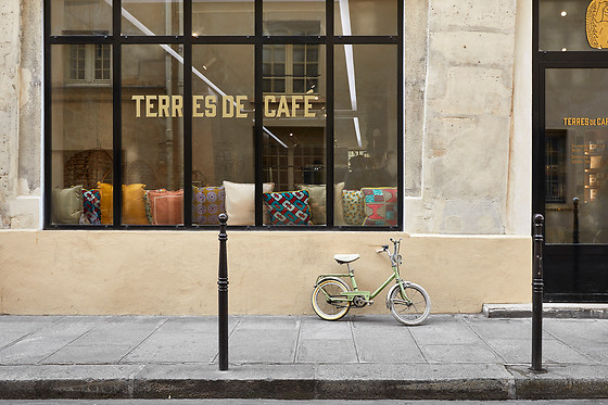 Terres de Café - photo 3