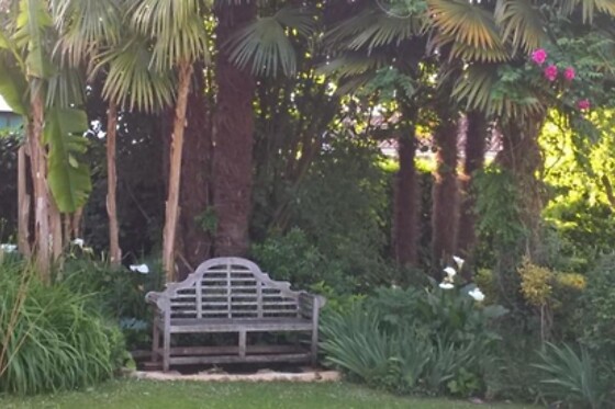 Côté jardin - photo 4