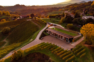 Visita guidata alla cantina con degustazione di vino e bottiglia in omaggio alla Tenuta Amadio in provincia di Treviso
