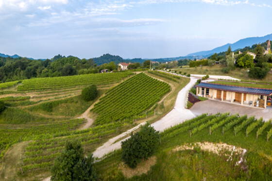 Tenuta Amadio - photo 3