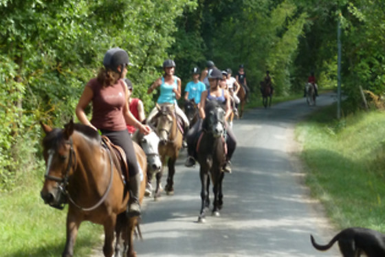 Un Poney, une histoire - photo 3