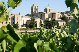 BODEGA OLIVERA