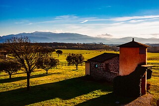 Soggiorno enogastronomico di una notte con visita alla cantina e degustazione di vino presso La Polledrara in provinica di Frosinone