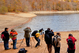 FOTOGRAFÍA GUILLEM CALATRAVA