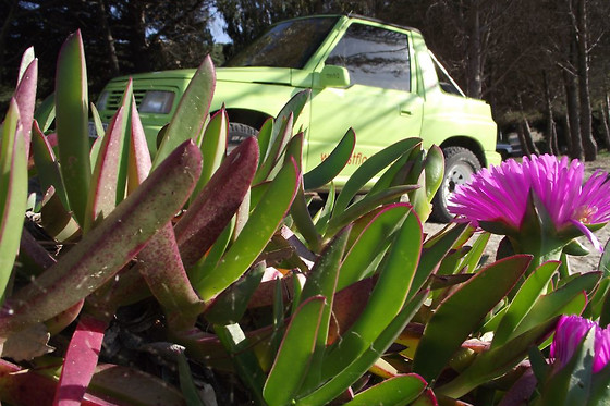 GEA FORESTAL ECO TURISMO ACTIVO - photo 6