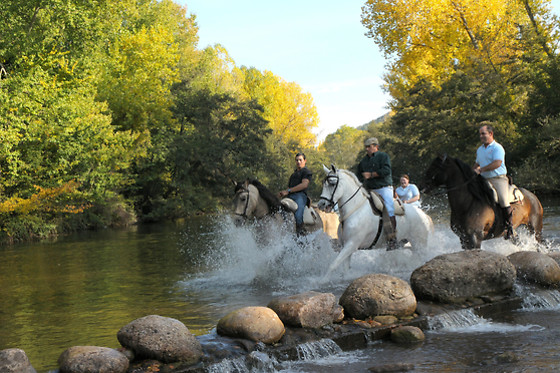 CABALLOS DE LA ARLANZA - photo 0