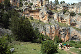 CABALLOS DE LA ARLANZA