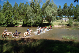CABALLOS DE LA ARLANZA