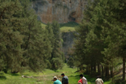 CABALLOS DE LA ARLANZA