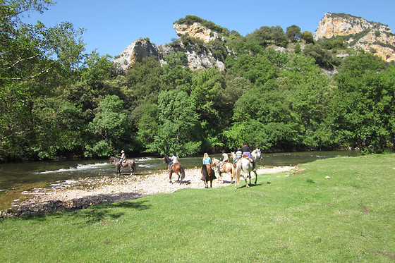 CABALLOS DE LA ARLANZA - photo 5