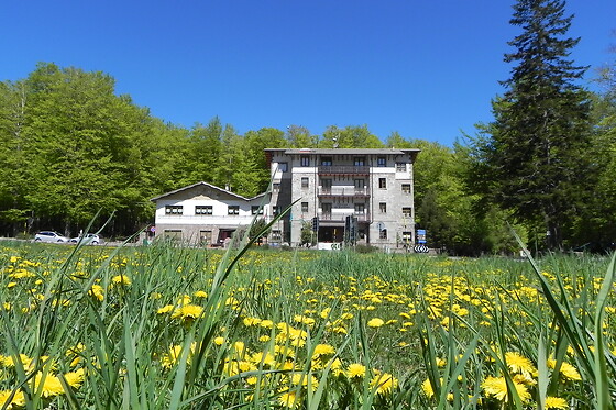 Hotel Le Macinaie - photo 12