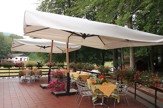Hotel Le Macinaie - photo 15
