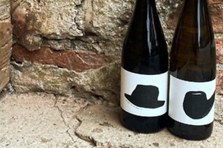 Visita alla cantina e ai vigneti con degustazione di vini presso Az. Agricola Monban in provincia di Treviso