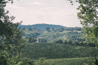 Visita alla cantina e ai vigneti con degustazione di vini presso Az. Agricola Monban in provincia di Treviso