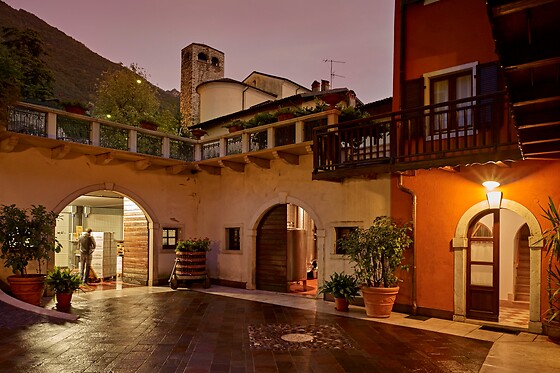 Visita alla cantina e ai vigneti con degustazione di vini e omaggio enologico presso La Cadalora, provincia di Trento