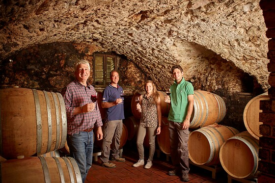 Visita alla cantina e ai vigneti con degustazione di vini e omaggio enologico presso La Cadalora, provincia di Trento