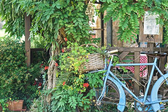 La Ferme du Pressoir - photo 13
